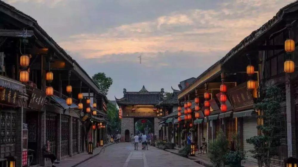 哈尼和她的宠物们